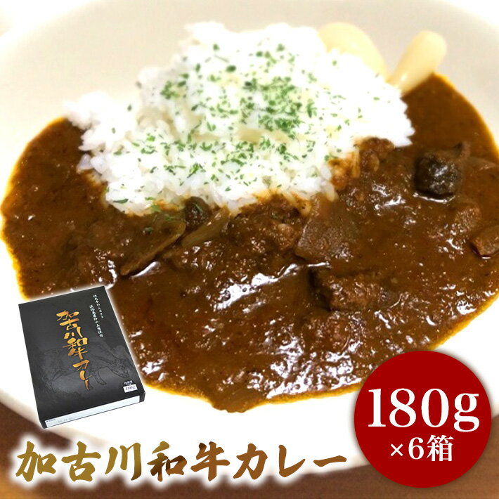 父の日ギフト 加古川和牛カレー6個