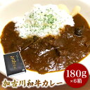 加古川和牛カレー6個セット 180g×6 レトルトカレー 送料無料（北海道500円 沖縄600円課金 店舗にて訂正) 母の日ギフト 高級カレー1人暮らし応援 ギフト 内祝い お祝い お礼 誕生日祝