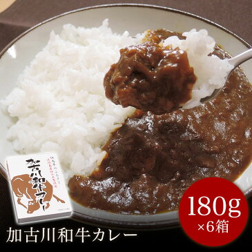 ス-パーSALE 13.2%OFF 加古川和牛カレー6個セット 180g×6 レトルトカレー 送料無料 お中元 ギフト対応