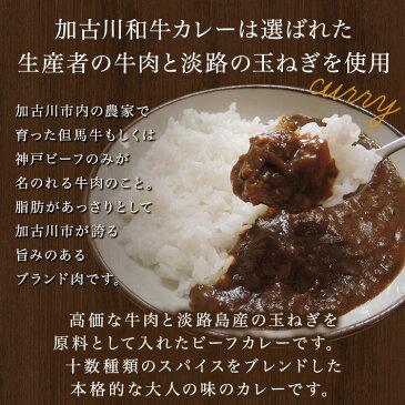 ス-パーSALE 13.2%OFF 加古川和牛カレー6個セット 180g×6 レトルトカレー 送料無料 お中元 ギフト対応