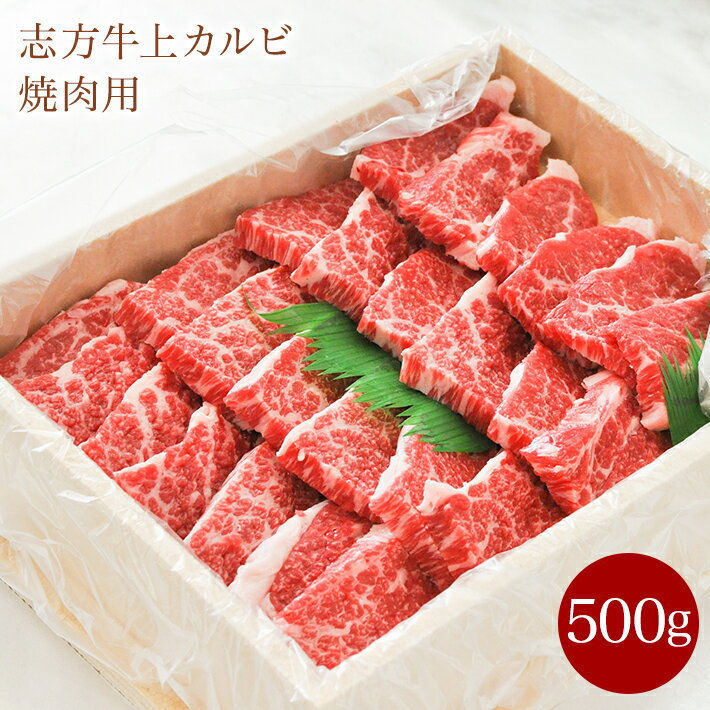 バレンタイン2021 志方牛カルビ焼肉用500g 敬老の日ギフト 牛バラ肉焼肉用 化粧箱入り バーベキュー BBQ 贈り物 送料無料(北海道500円 縄沖縄円 離島別途)熨斗対応 誕生日祝い お取り寄せ グルメ