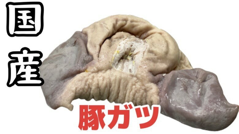 送料無料　1kg×3点=3000g 　冷凍 国産　生 豚の胃袋 1000g×3点 豚ガツ　猪胃 猪肚 中華食材 中華食品　豚肉　　生猪肚　胃袋 豚肚