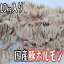 国産　豚肉　大腸　ホルモン　ボイル　のばし（カットなし)　冷凍　10kg (送料別)