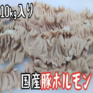 国産 豚肉 大腸 ホルモン ボイル のばし(カットなし) 冷凍 10kg (送料別)