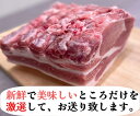 国産鶏むね　鶏胸肉　0.9〜1.1kg メガ盛り　BBQ おうち時間　おうちご飯　激安　セール　グルメ　キャンプ　(送料別) 3