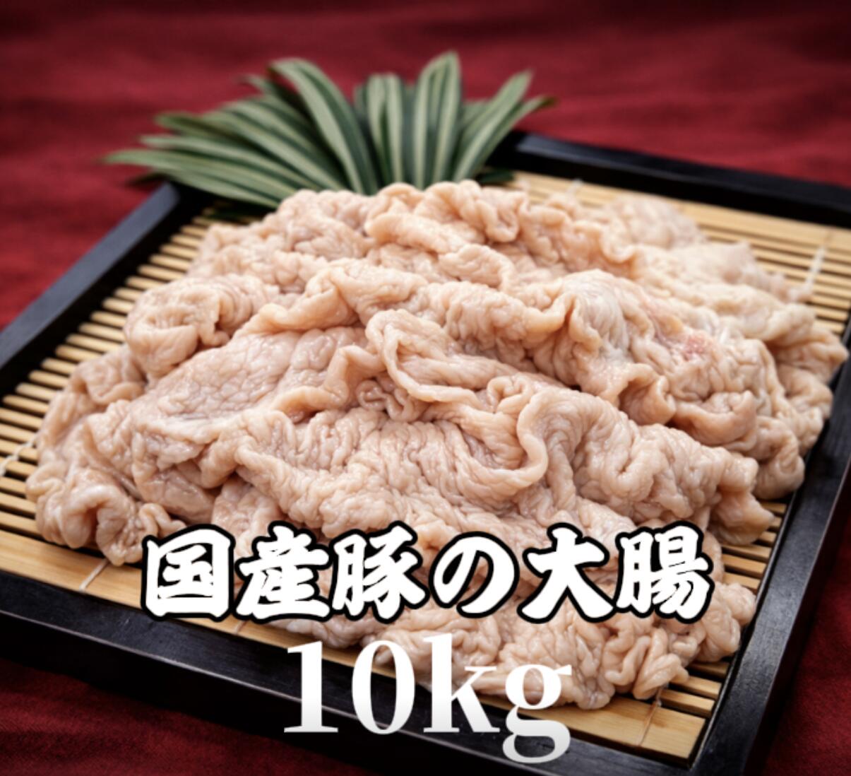 国産　豚肉　大腸　ホルモン　ボイル　のばし（カットなし)　冷凍　10kg (送料別)