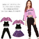 ヒップホップ トップス HIPHOP キッズ チア衣装 チェック 半袖 長袖 練習着 ダンス衣装 タンクトップ パープル ミニスカート ガールズ ズボン サルエ...