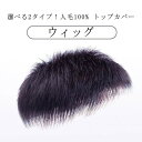 ウィッグ 人毛100％ トップカバー 男性用ウィッグ ヘアピース 普段使い 白髪隠し 人毛ウィッグ メンズ ショート トップピース 薄毛隠し つけ毛 ボリューム アップ 白髪カバー つむじ 頭頂部 増毛 薄毛対策 部分ウィッグ 脱毛症 医療用ウィッグ 通気性 円形脱毛