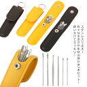 送料無料 耳かき セット 6本セット 収納ケース付き ステンレス 耳掻き 衛生用品 日用品 耳掃除 耳そうじ ヘラ型 スプリング スパイラル(4)
