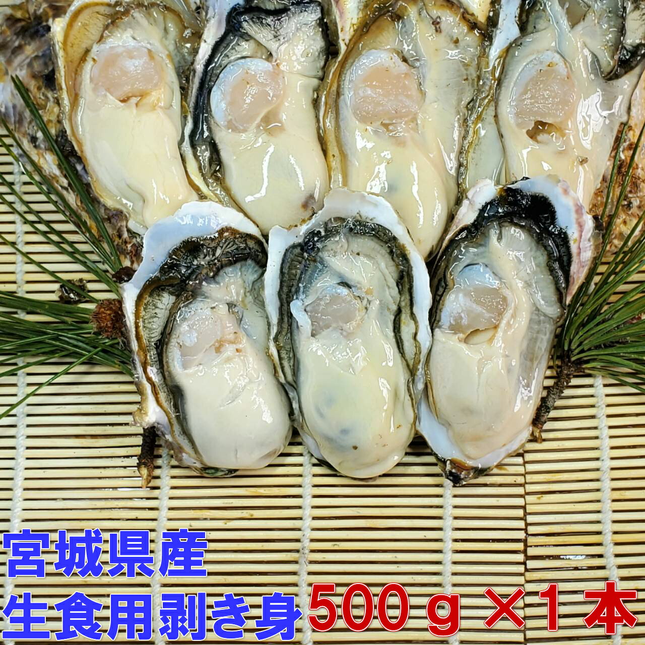 生食用 剥き身 牡蠣 宮城県産 「500g×1本 カキ むき身」漁師直送品 松島牡蠣屋 生のまま カキフライに 牡蠣鍋に カキ 牡蠣 殻付き 殻付き牡蠣 牡蠣 殻付 カキフライ 牡蠣鍋 牡蠣のアヒージョ 牡蠣のオイル漬け