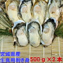 生食用 「剥き身 牡蠣 500g×2本」 カキ 牡蛎 むき身【条件付き】宮城県産　 漁師直送品 松島牡蠣屋 カキ 牡蠣 カキフ…