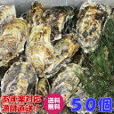 【母の日対応可能】「一個牡蠣 50個」 殻付き 牡蠣 殻付き 牡蛎 牡蠣 殻付 宮城県産 無選別牡蠣 カキ 加熱用 松島牡蠣屋 送料無料 BBQ ギフト 食べ物...