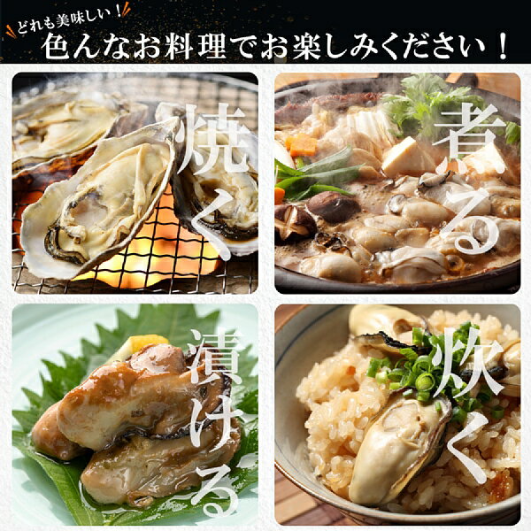 無選別MIX5kg(約60粒)冷凍便送料無料!宮城県産殻付き牡蠣殻付き殻付カキ加熱用一年子松島牡蠣屋無選別牡蠣