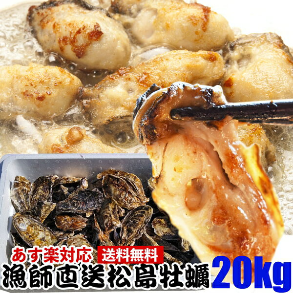 あす楽対応「 牡蠣 20kg」 【約230粒】 20キロ 殻付き 牡蠣 殻付き 牡蛎 牡蠣 殻付 宮城県産 無選別牡蠣 カキ 加熱用 松島牡蠣屋 送料無料 BBQ 母の日 父の日 ギフト 食べ物 お中元 お歳暮 SDGs フードロス削減 バーベキュー食材 海産物【140】