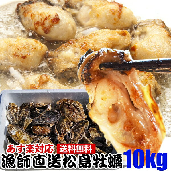 加熱用 牡蠣 10kg 【約110粒】 10キロ 殻付き 牡蠣 殻付き 牡蛎 牡蠣 殻付 宮城県産 無選別牡蠣 カキ 加熱用 松島牡蠣屋 送料無料 BBQ 母の日 父の日 ギフト 食べ物 お中元 お歳暮 バーベキュ…