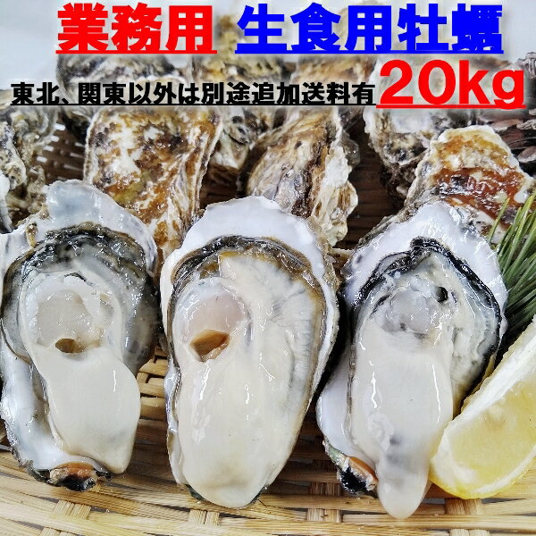 父の日 ギフト 送料無料 倉崎海産 オイル＆オイスター2本 広島牡蠣 ギフト 広島産 牡蠣 オイル漬け かき ワイン おつまみ 美味しい ご当地グルメ お取り寄せグルメ 広島名産 広島ギフト ちちの日 父の日プレゼント 贈り物 2024 fathersday