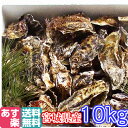あす楽対応!牡蠣 10kg(約120粒)クール便送料無料! ...
