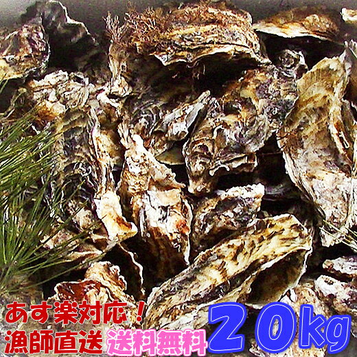 瀬戸内海産 牡蠣 カンカン焼きセット 3kg (1缶に約36個〜54個) 殻付き カキ かき 鮮魚 缶 BBQ ギフト