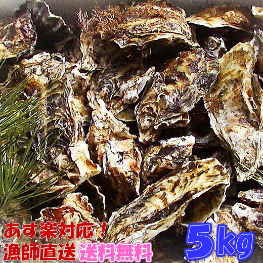 あす楽対応！牡蠣 5kg（約67粒）送料無料！宮城県産 殻付き 牡蠣 殻付き 無選別牡蠣 牡蠣 殻付 カキ 加熱用 一年子 松島牡蠣屋 お花見にGWBBQに父の日母の日バーベキューに