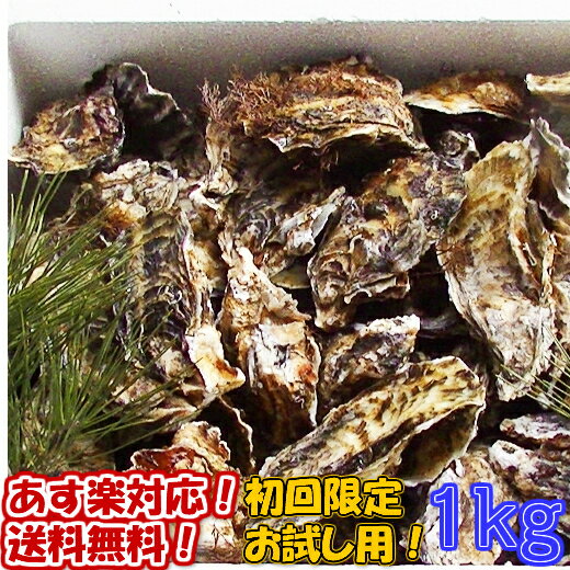 「牡蠣 加熱用1kg」 【約11粒】 1キロ 殻付き 牡蠣 殻付き 牡蛎 牡蠣 殻付 宮城県産 無選別牡蠣 カキ 加熱用 松島牡蠣屋 送料無料 BBQ 母の日 父の日 ギフト お中元 お歳暮 SDGs フードロス削減 バーベキュー食材 【60】