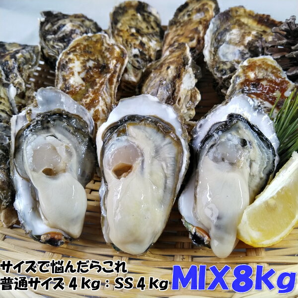 「牡蠣 MIX8kg」（約125粒）【無選別4kg+SSサイズ4kg】8キロ 宮城県松島産 殻付き 牡蠣 殻付き お歳暮 御歳暮にも 牡…