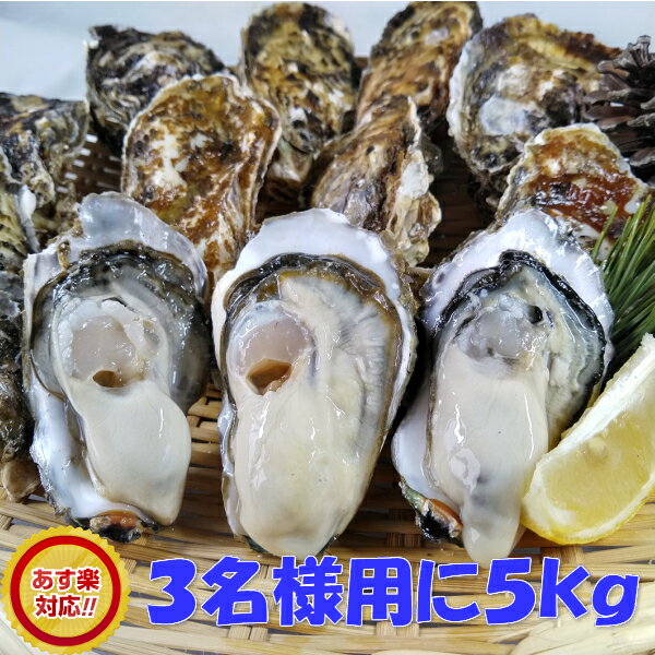 あす楽対応 「牡蠣 5kg」 【約60粒】 5キロ 殻付き 牡蠣 殻付き 牡蛎 牡蠣 殻付 宮城県産 無選別牡蠣 カキ 加熱用 松島牡蠣屋 送料無料 BBQ 母の日 父の日 ギフト 食べ物 お中元 お歳暮 フードロス削減 バーベキュー食材 海産物【100】