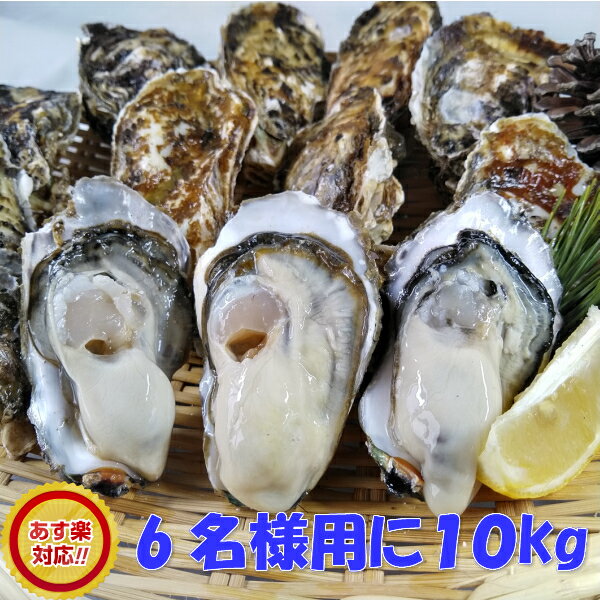 加熱用 牡蠣 10kg 【約110粒】 10キロ 殻付き 牡蠣 殻付き 牡蛎 牡蠣 殻付 宮城県産 無選別牡蠣 カキ 加熱用 松島牡蠣屋 送料無料 BBQ 母の日 父の日 ギフト 食べ物 お中元 お歳暮 バーベキュ…