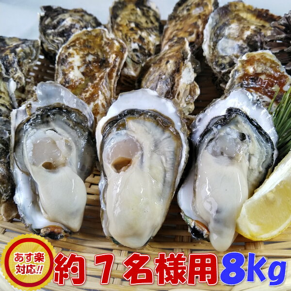 あす楽対応！「加熱用　牡蠣 8kg」（約90粒）送料無料！宮