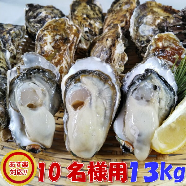 あす楽対応！「牡蠣 加熱用13kg」（約145粒）送料無料！宮城県産 殻付き 牡蛎 牡蠣 殻付き 無選別牡蠣 牡蠣 殻付 カキ 加熱用 一年子 松島牡蠣屋 牡蛎 BBQ 母の日 父の日 ギフト 食べ物 お中元 お歳暮 SDGs フードロス削減 バーベキュー食材 海産物【120】