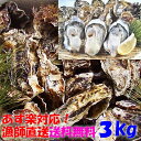 【5％OFFクーポン有 3/1～3/31】牡蠣 3kg 殻付