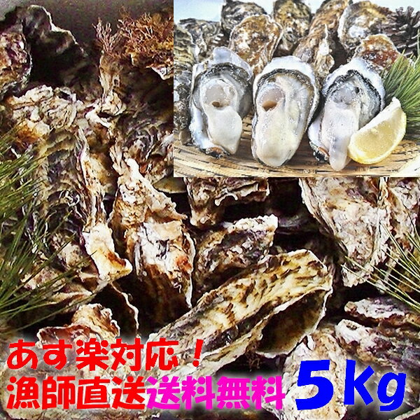 牡蠣 特大 【 3L または 2L サイズ が選べる！ 広島 カキ 冷凍 総重量 1kg （内容量850g）】 かき 牡蛎 むき身 広島県 海鮮 お礼 お祝い ギフト 鍋 お取り寄せ あす楽