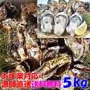 【20％クーポン有 お歳暮、年末用も可】牡蠣 5kg 殻付き 牡蠣 殻付き 5キ