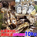 【5％クーポン有】「牡蠣 10kg」 （目安110粒）殻付き 牡蠣 殻付き 牡蛎