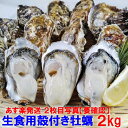 【5％クーポン有】「生食用 殻付き 牡蠣 2kg」生食用（14~35粒）牡蠣 殻