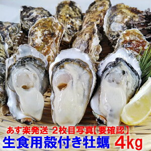 【最大100%Pバック】牡蠣 殻付き 生牡蠣 「生食用 殻付き 牡蠣 4kg」 (28~70粒)貝類 貝 kaki oyster オイスター4キロ 牡蠣 殻付き 牡蛎 牡蠣 殻付 宮城県産 カキ 松島牡蠣屋 【100】