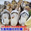 【5％クーポン有】「生食用 殻付き 牡蠣 8kg」生食用（56~140粒）牡蠣 