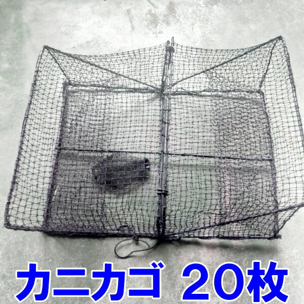 imgrc0101937833.jpg imgrc0101937833.jpg