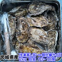 「冷凍一個蒸し缶2kg」 【約13-18粒】 蒸しカンカン 殻付き 牡蠣 殻付き 牡蛎 牡蠣 殻付 宮城県産 無選別牡蠣 カキ 加熱用 松島牡蠣屋 送料無料 B...