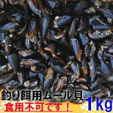 釣り餌に 冷凍ムール貝 ムラサキイガイ1kg～10kg 冷凍品 イガイ カラス貝 ムール貝 釣りエサ クロダイ 黒鯛 チヌ 石鯛 コブダイ カワハギ釣りに 【食用ではありません】「冷凍餌用ムラサキイガイ kg」【60】