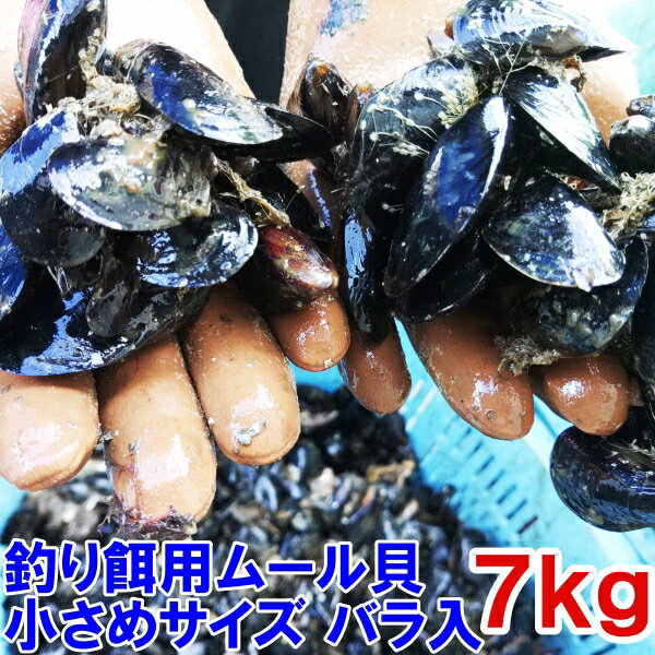 新規格 小サイズ 釣り餌に ムール貝 ムラサキイガイ 小サイズ 7kg 小分けなしタイプ 冷凍品 7キロ イガイ カラス貝 ムール貝 釣りエサ クロダイ 黒鯛 チヌ 石鯛 コブダイ カワハギ釣りに 【食…