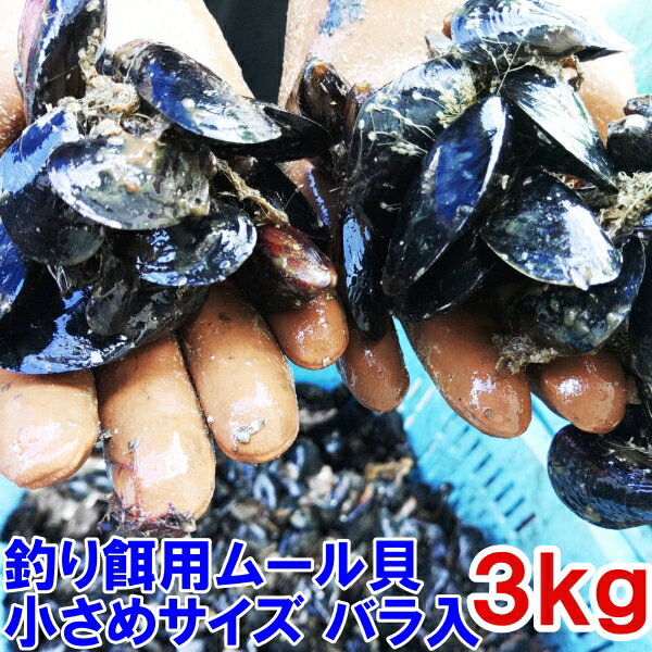 新規格 小サイズ 釣り餌に ムール貝 3kg～14kg 小分けなしタイプ 冷凍品 イガイ カラス貝 ムール貝 釣りエサ クロダ…