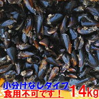 釣り餌に ムール貝　「ムラサキイガイ14kg」小分けなしタイプ 冷凍品 14キロ イガイ カラス貝 ムール貝 釣りエサ クロダイ 黒鯛 チヌ 石鯛 コブダイ カワハギ釣りに 【食用ではありません】【100】