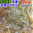 楽天松島牡蠣屋【新商品】アカモク 2kg～14kg（500g入りタイプ）【生のまま冷凍小分け品】の完全無添加 ！あかもく ぎばさ ねばねば ネバネバ ギバサ「冷凍アカモク　　kg（500gタイプ）」【120】