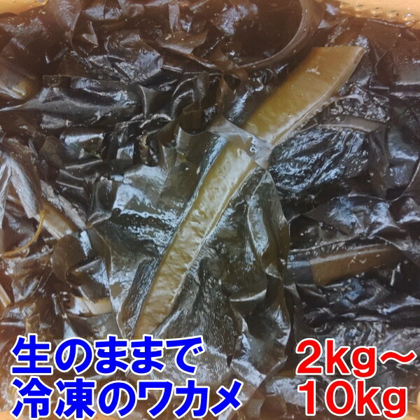 【10％OFFクーポン有】【生のまま冷凍】のワカメ！2kg～10kg（1kg入真空パック袋入りです）わかめ 味噌汁に サラダに 塩蔵は嫌いな方におススメです。松島牡蠣屋「冷凍ワカメ　　　kg」宮城県産