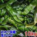 茎わかめ 塩蔵ワカメ 完全 訳あり品 塩蔵わかめ 10kg 小エビや小さい海藻の除去などが不十分だけど十分お召し上がりいただける若布です「茎ワカメ 10kg」三陸わかめ 三陸ワカメ 松島牡蠣屋 宮城県産