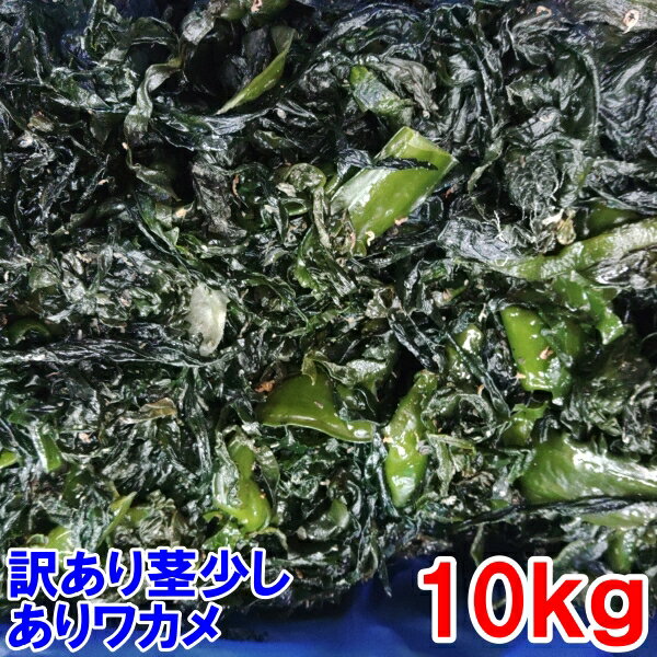 塩蔵ワカメ完全訳あり品 塩蔵わかめ 10kg入 茎少しあり 小エビや小さい海藻の除去などが不十分「塩蔵ワカメ 10kg」三陸わかめ 三陸ワカメ 松島牡蠣屋 宮城県産 SS