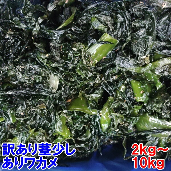 塩蔵ワカメ B級品 訳あり品 塩蔵わかめ 2kg～10kg入 茎少しありタイプ 小エビや小さい海藻の除去などが不十分だけど十分お召し上がりいただける若布です「ワカメ茎あり　kg」三陸わかめ 三陸ワカメ 松島牡蠣屋 宮城県産