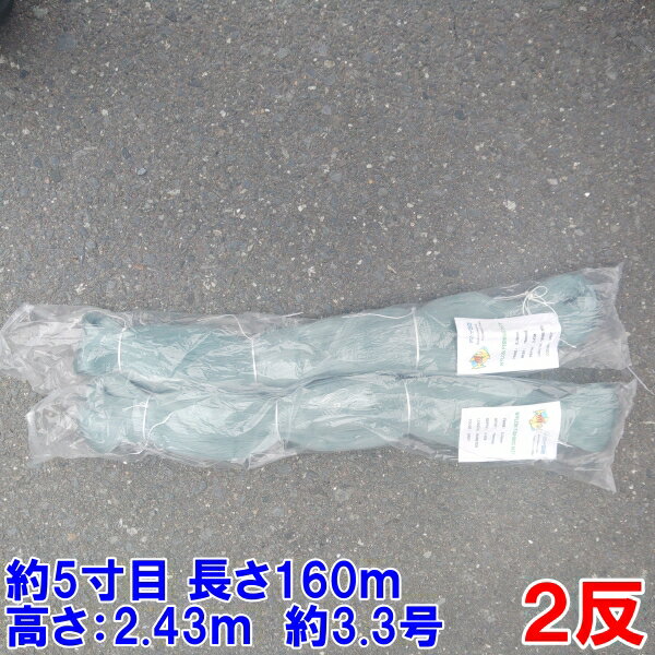 漁網 刺し網 刺網 2反 約5寸 長さ160m 高さ2.43m 約3.3号 灰色 漁具 漁業 原反 2個 送料無料「76mm　160m灰色　2反」