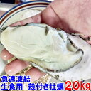 20kg 急速凍結 生食用冷凍牡蠣 殻付き 牡蠣 送料無料 20kg 冷凍便 牡蠣 殻付き【熨斗対応可能】 宮城県産 殻付き牡蠣 殻付き 殻付 カキ 牡蛎 かき 松島牡蠣屋 kaki かき「生食用 冷凍牡蠣 20kg」★
