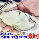 【母の日対応可能】急速凍結 生食用冷凍牡蠣 殻付き 牡蠣 送料無料 8kg 冷凍便 牡蠣 殻付き【熨斗対応可能】 宮城県産 殻付き牡蠣 殻付き 殻付 カキ 牡蛎...